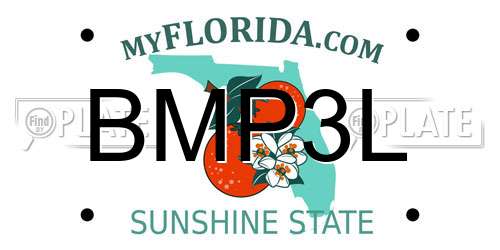 BMP3L Florida License Plate