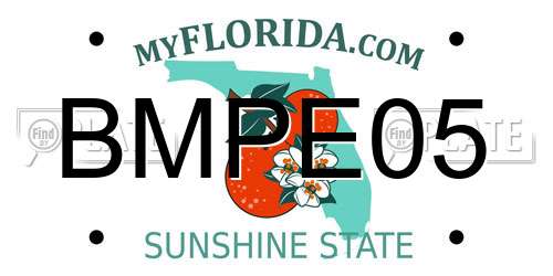 BMPE05 Florida License Plate