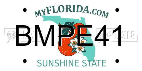 BMPE41 Florida License Plate