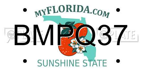 BMPQ37 Florida License Plate
