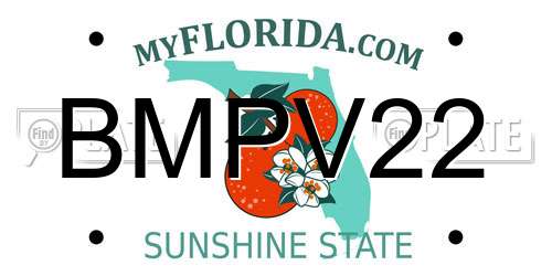 BMPV22 Florida License Plate