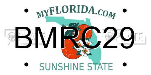 BMRC29 Florida License Plate