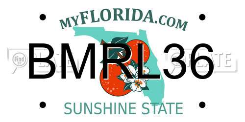 BMRL36 Florida License Plate
