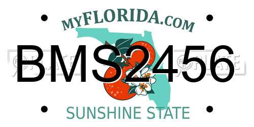 BMS2456 Florida License Plate