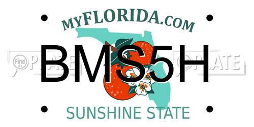 BMS5H Florida License Plate