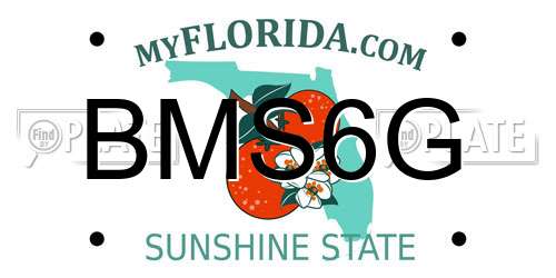 BMS6G Florida License Plate