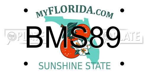 BMS89 Florida License Plate