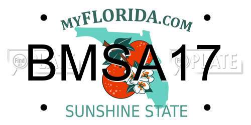 BMSA17 Florida License Plate