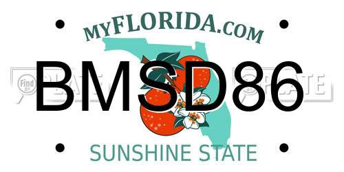 BMSD86 Florida License Plate