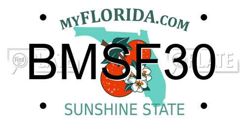 BMSF30 Florida License Plate