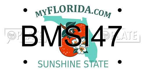 BMSI47 Florida License Plate