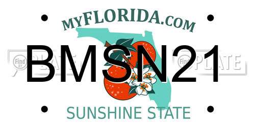 BMSN21 Florida License Plate