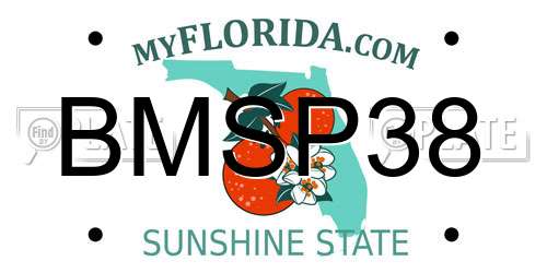BMSP38 Florida License Plate
