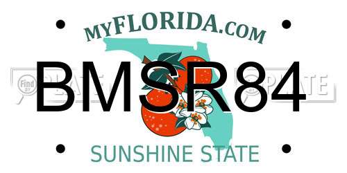 BMSR84 Florida License Plate