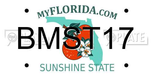 BMST17 Florida License Plate
