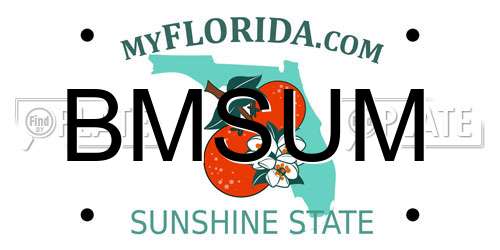 BMSUM Florida License Plate