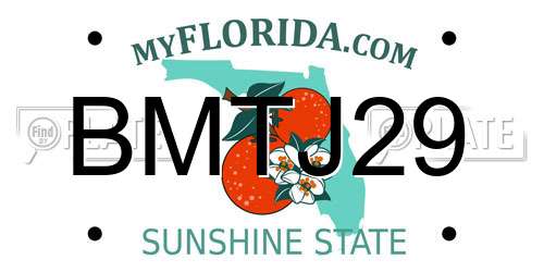 BMTJ29 Florida License Plate