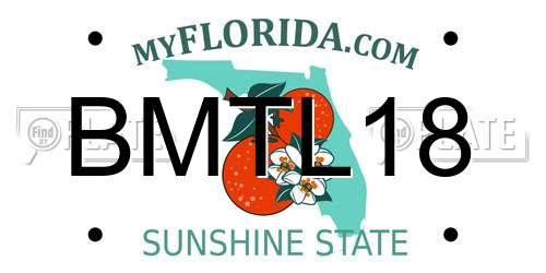 BMTL18 Florida License Plate