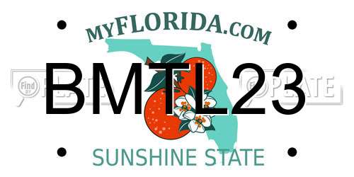 BMTL23 Florida License Plate