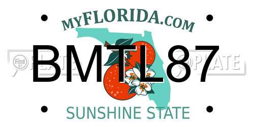 BMTL87 Florida License Plate