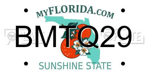 BMTQ29 Florida License Plate