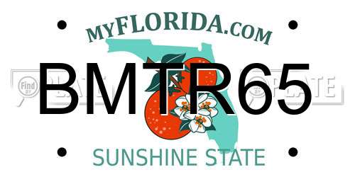 BMTR65 Florida License Plate