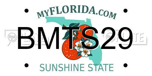 BMTS29 Florida License Plate