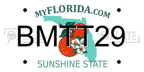 BMTT29 Florida License Plate