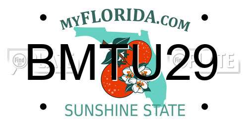 BMTU29 Florida License Plate