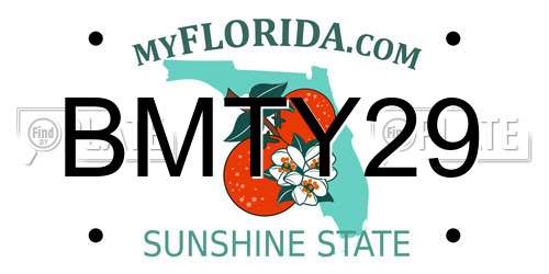 BMTY29 Florida License Plate