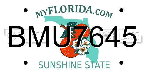 BMU7645 Florida License Plate