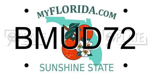 BMUD72 Florida License Plate