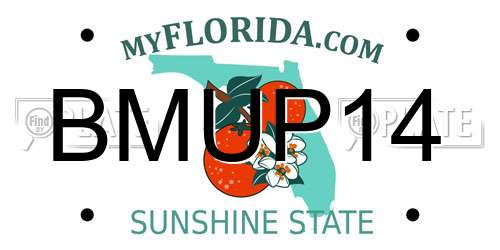 BMUP14 Florida License Plate