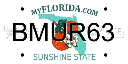 BMUR63 Florida License Plate