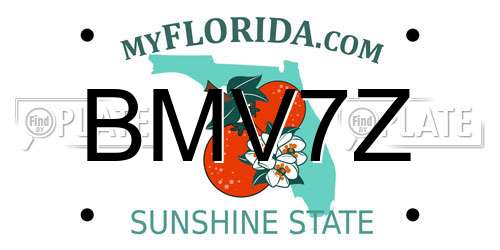 BMV7Z Florida License Plate