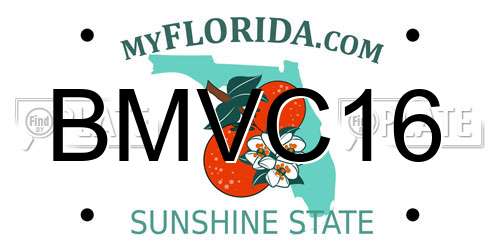 BMVC16 Florida License Plate