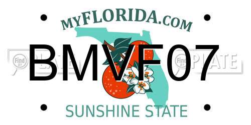 BMVF07 Florida License Plate