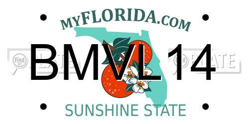 BMVL14 Florida License Plate