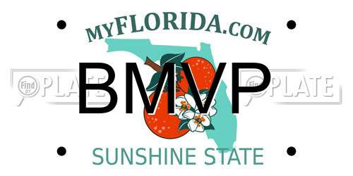 BMVP Florida License Plate