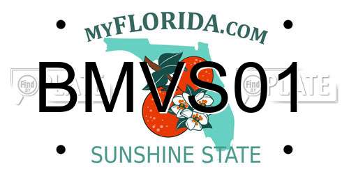 BMVS01 Florida License Plate
