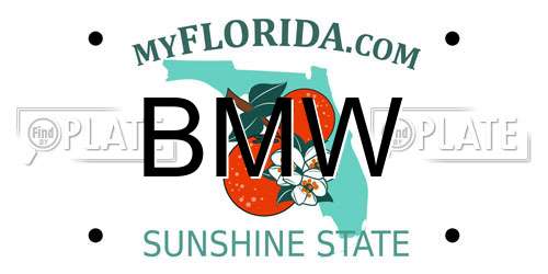 BMW Florida License Plate