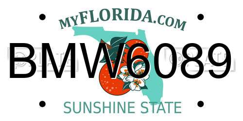BMW6089 Florida License Plate