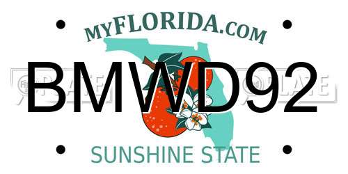 BMWD92 Florida License Plate