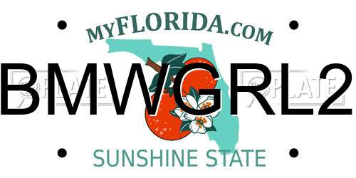 BMWGRL2 Florida License Plate