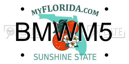 BMWM5 Florida License Plate