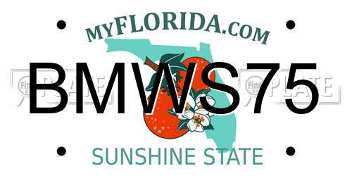 BMWS75 Florida License Plate