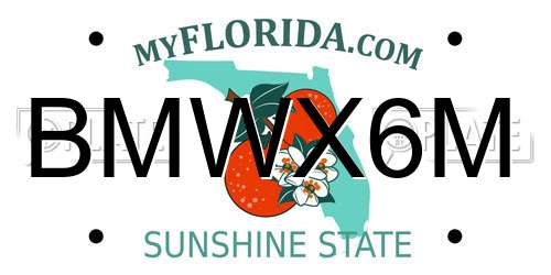 BMWX6M Florida License Plate
