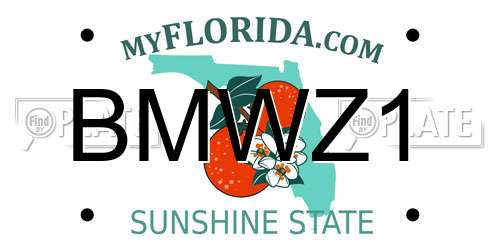 BMWZ1 Florida License Plate