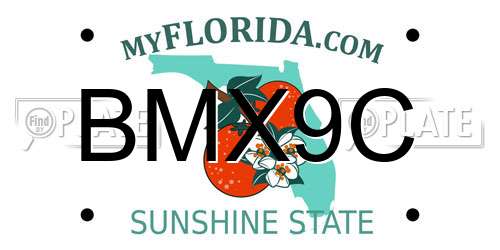 BMX9C Florida License Plate