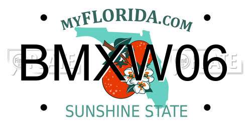 BMXW06 Florida License Plate